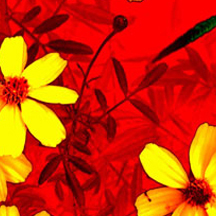 ddos在线攻击工具